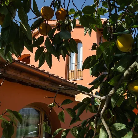 Incanto Toscano *